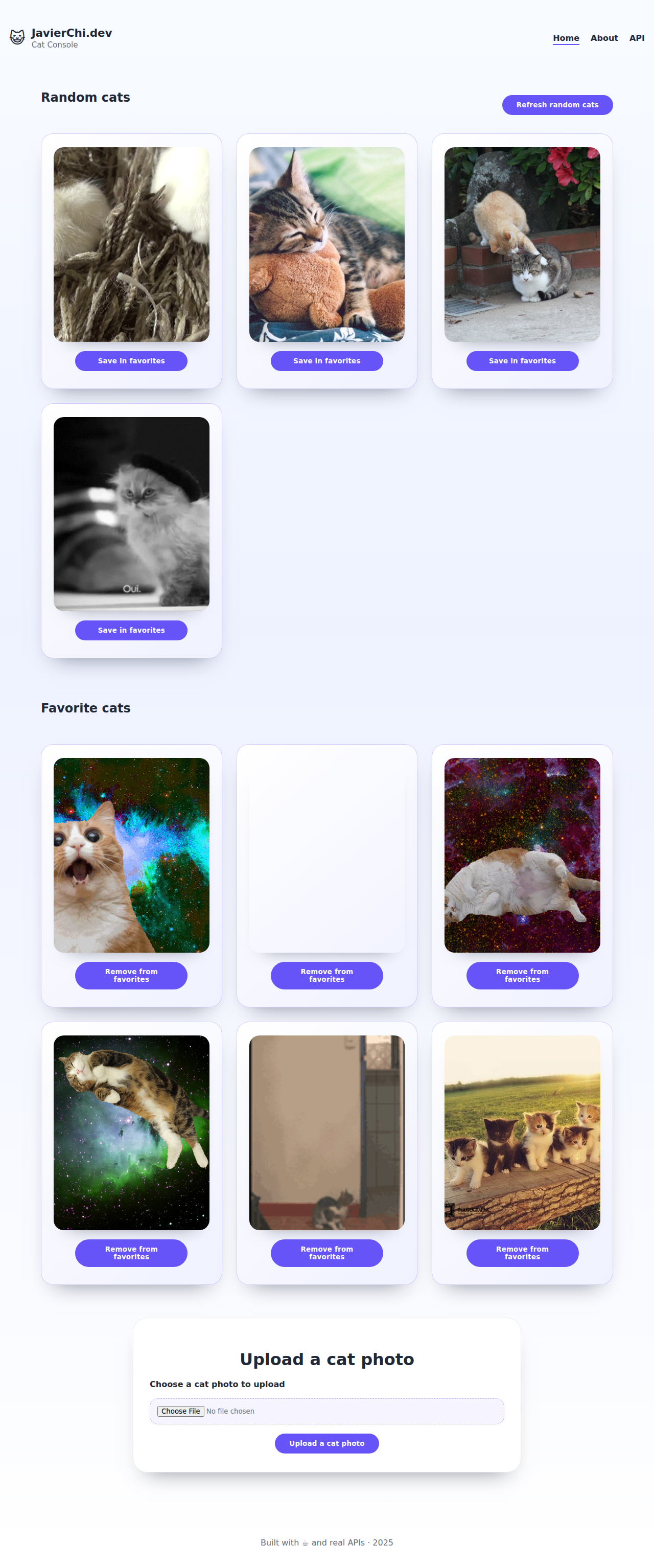 Kittys API Consuming